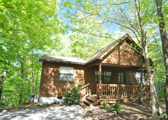 Adalynn\'S Mountain Retreat-Hot Tub, 1089 Of Free Tickets For Each Paid Day, Dollywood And More!
