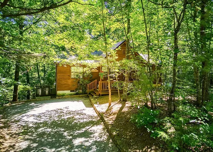 Adalynn\'S Mountain Retreat-Hot Tub, 1089 Of Free Tickets For Each Paid Day, Dollywood And More!